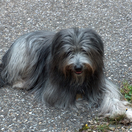 13 Florian im Allgäu im Urlaub 2006